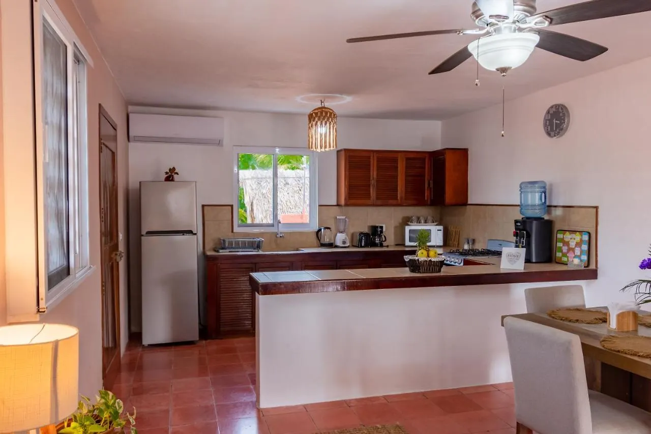 Apartment Budgies Cozumel Mexico